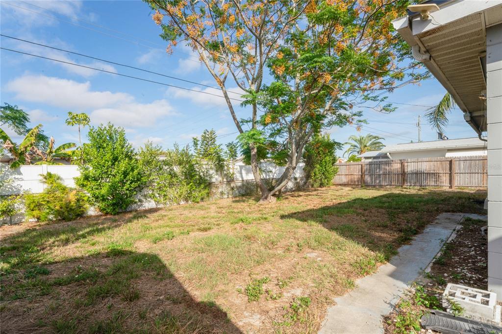4837 Vision Avenue Holiday, FL 34690 - Photo 32 of 38 a view of a yard with plants and trees