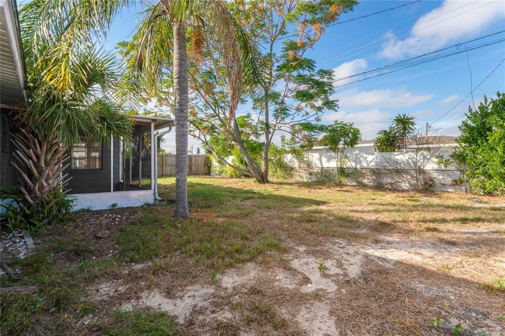 4837 Vision Avenue Holiday, FL 34690 - Photo 34 of 38 a view of a yard with plants and trees