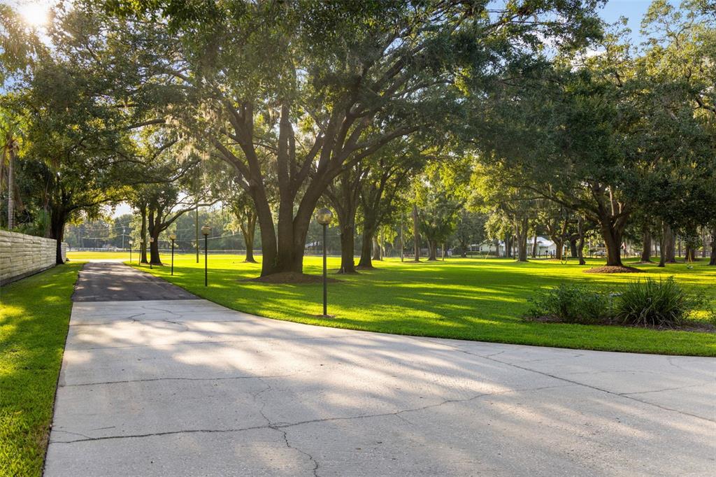 9116 Roberts Road Odessa, FL 33556 - Photo 88 of 94 a view of yard with swimming pool and green space