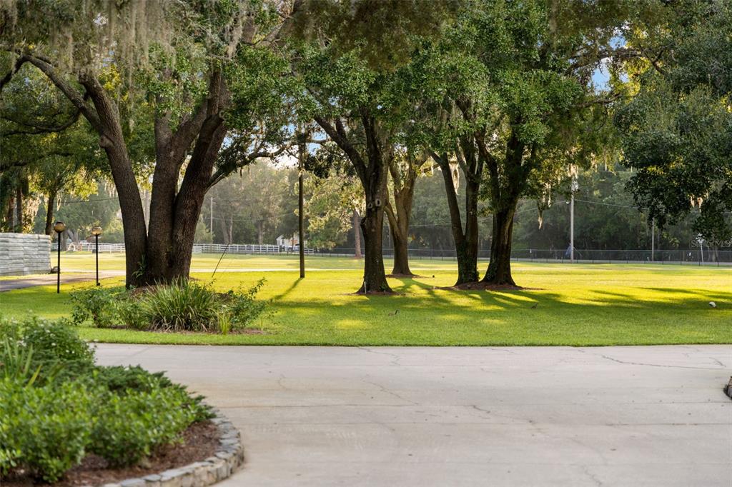 9116 Roberts Road Odessa, FL 33556 - Photo 89 of 94