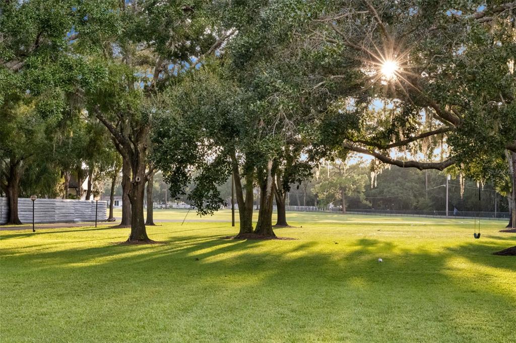 9116 Roberts Road Odessa, FL 33556 - Photo 90 of 94