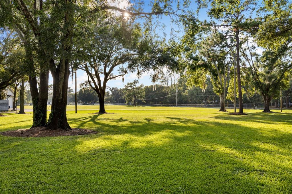 9116 Roberts Road Odessa, FL 33556 - Photo 91 of 94 a view of swimming pool with trees