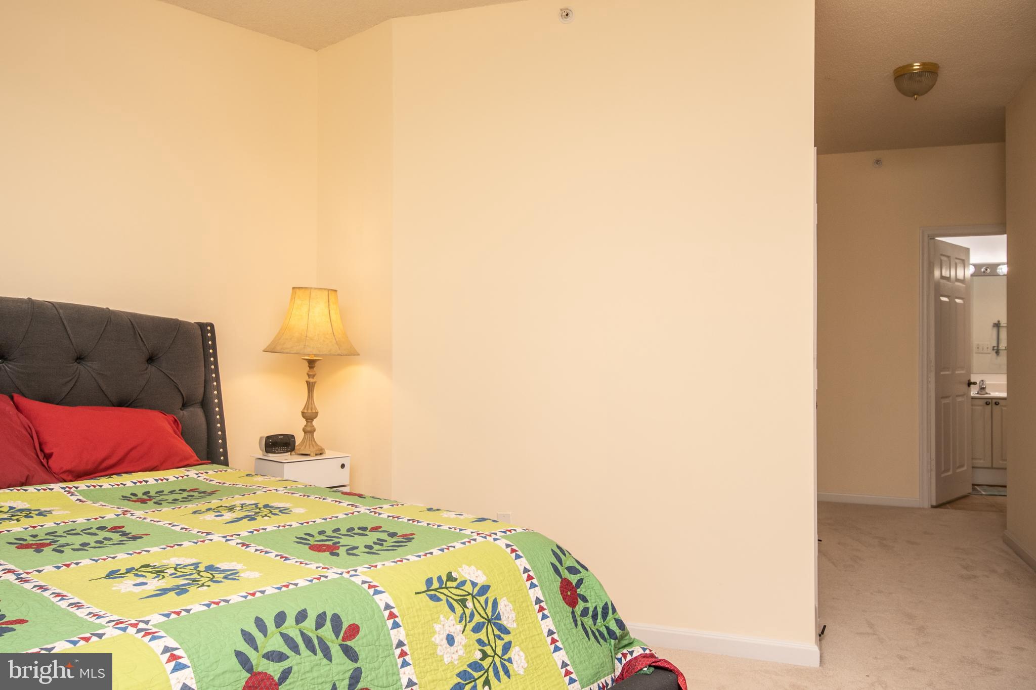 19365 Cypress Ridge Terrace, Unit 121 Leesburg, VA 20176 - Photo 13 of 31 Spacious primary Bedroom