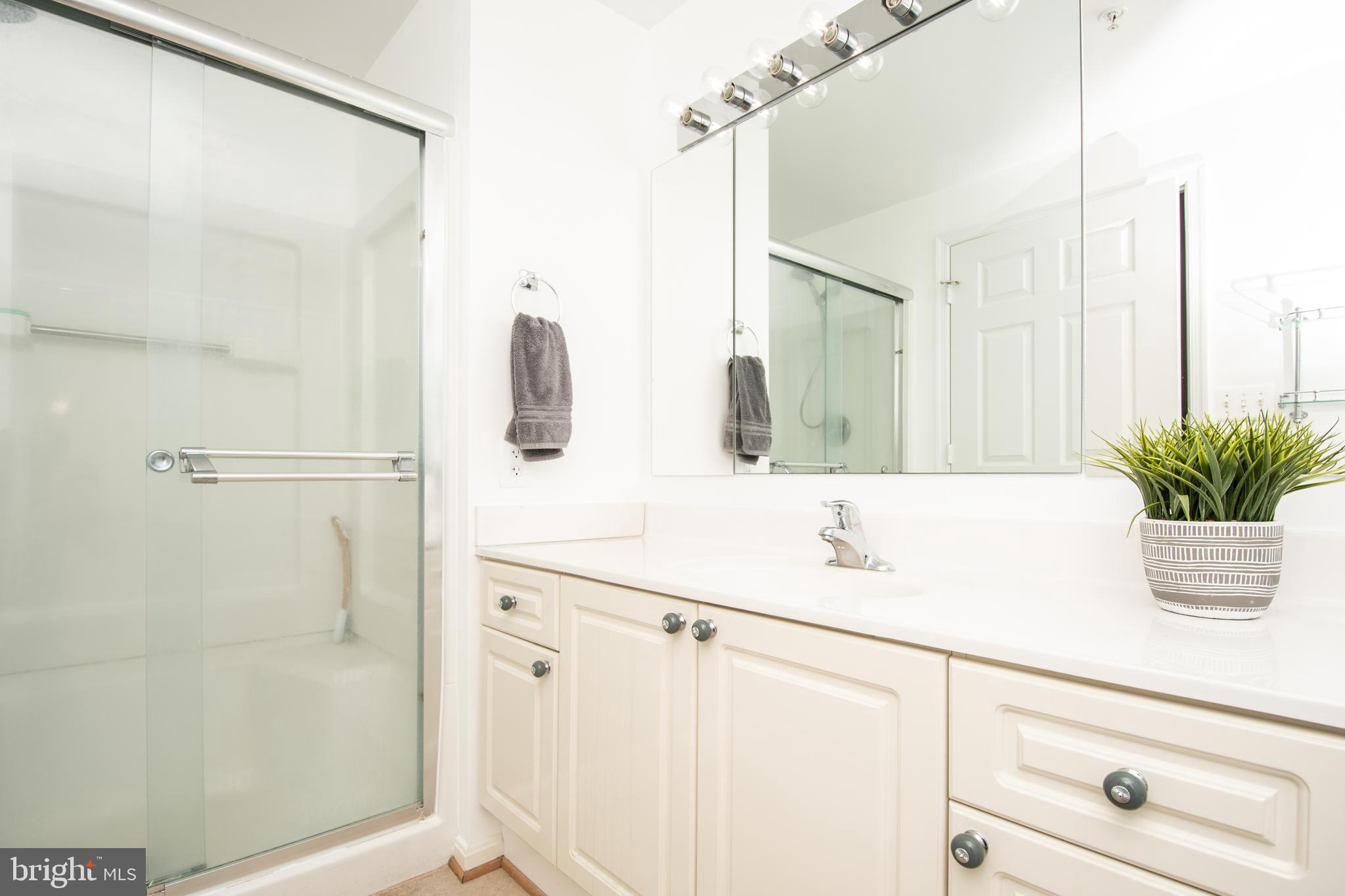 19365 Cypress Ridge Terrace, Unit 121 Leesburg, VA 20176 - Photo 15 of 31 Primary Bath with walk-in shower