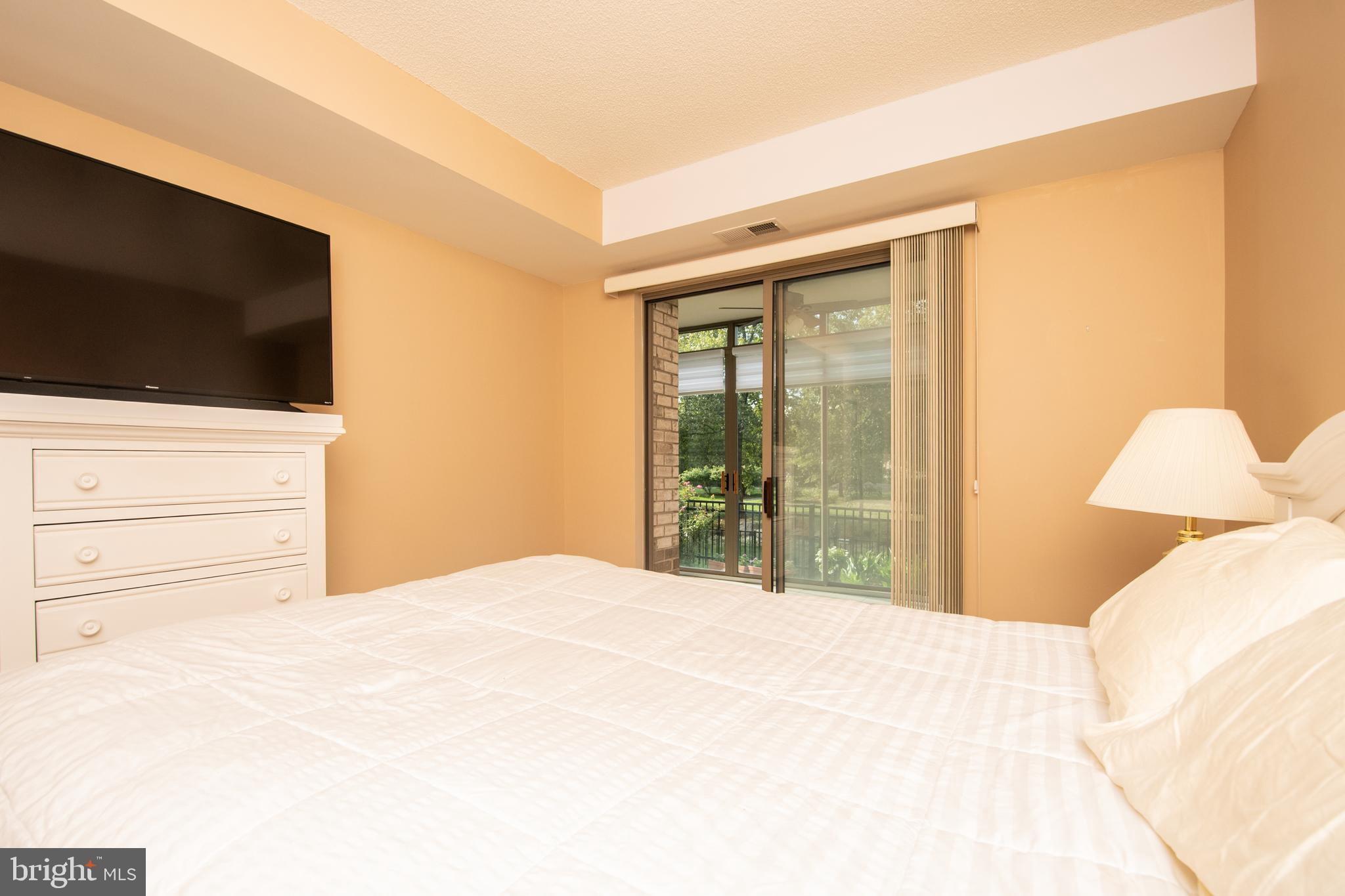 19365 Cypress Ridge Terrace, Unit 121 Leesburg, VA 20176 - Photo 16 of 31 2nd Bedroom with access to sunroom