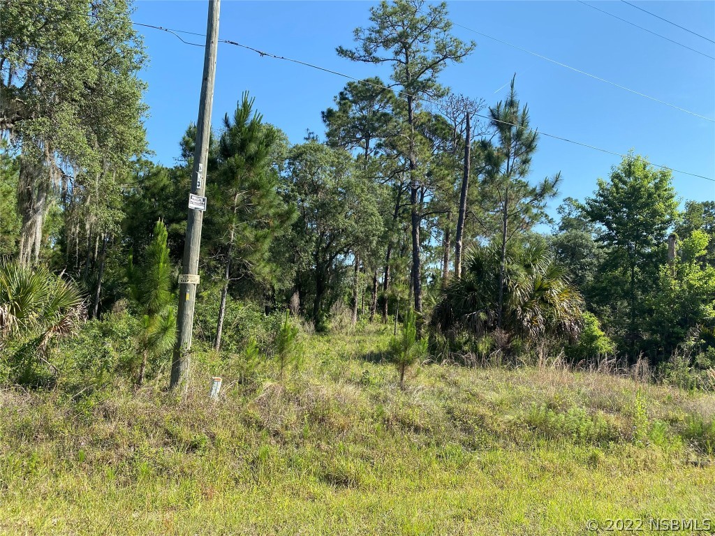 31211 Lake Mack Road DeLand, FL 32720 - Photo 1 of 3 Gallery Image 1