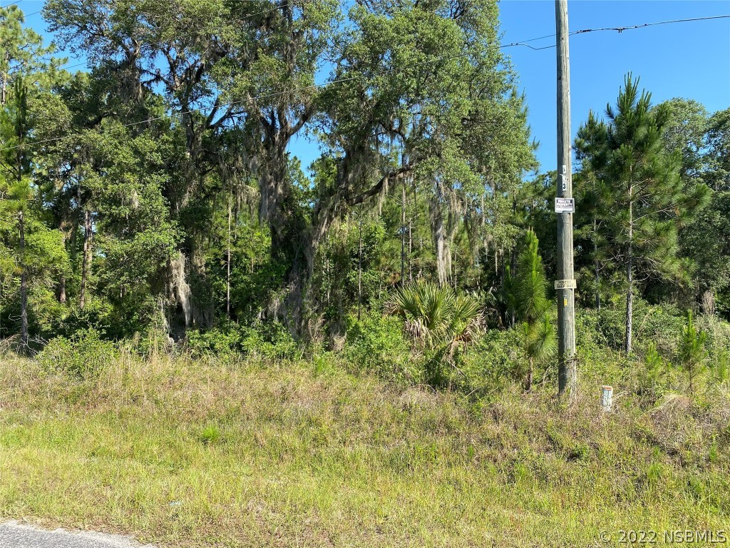 31211 Lake Mack Road DeLand, FL 32720 - Photo 3 of 3 Gallery Image 3