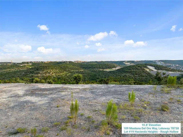 a view of a city with lush green forest