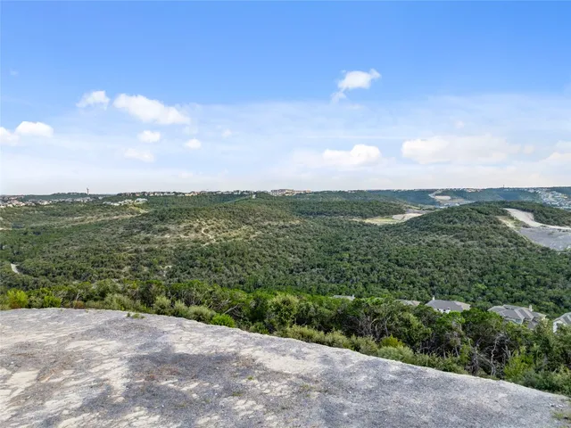 a view of a city with lush green forest
