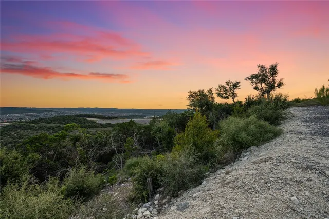 a view of a city with lush green forest