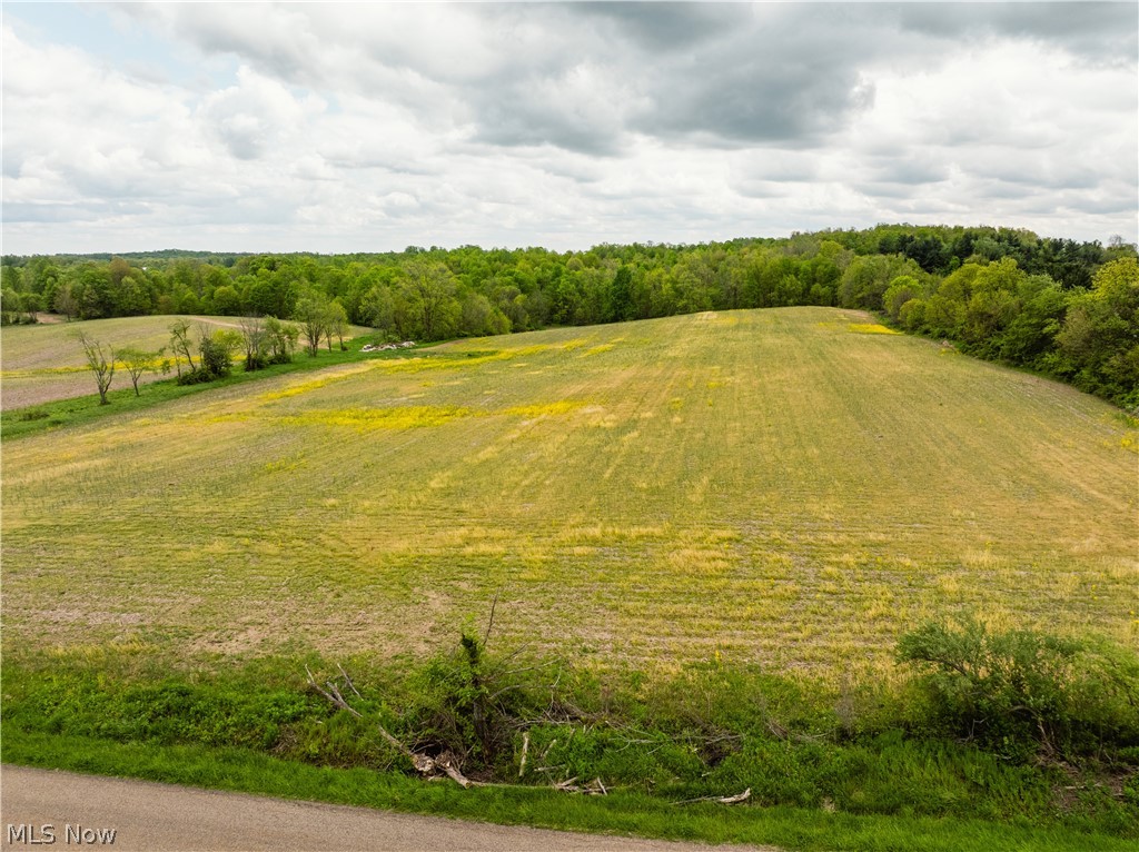 Garver Road Mansfield, OH 44903 - Photo 32 of 48