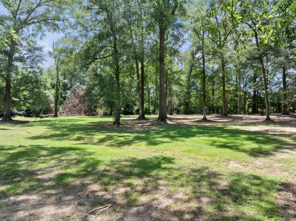 304 3rd Street Osyka, MS 39657 - Photo 56 of 64 Photo 56