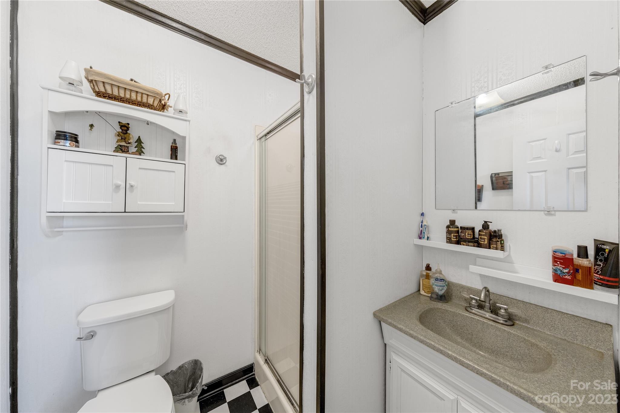 1260 State Rd S-46-536 Rock Hill, SC 29732 - Photo 20 of 34 a bathroom with a sink a toilet and mirror