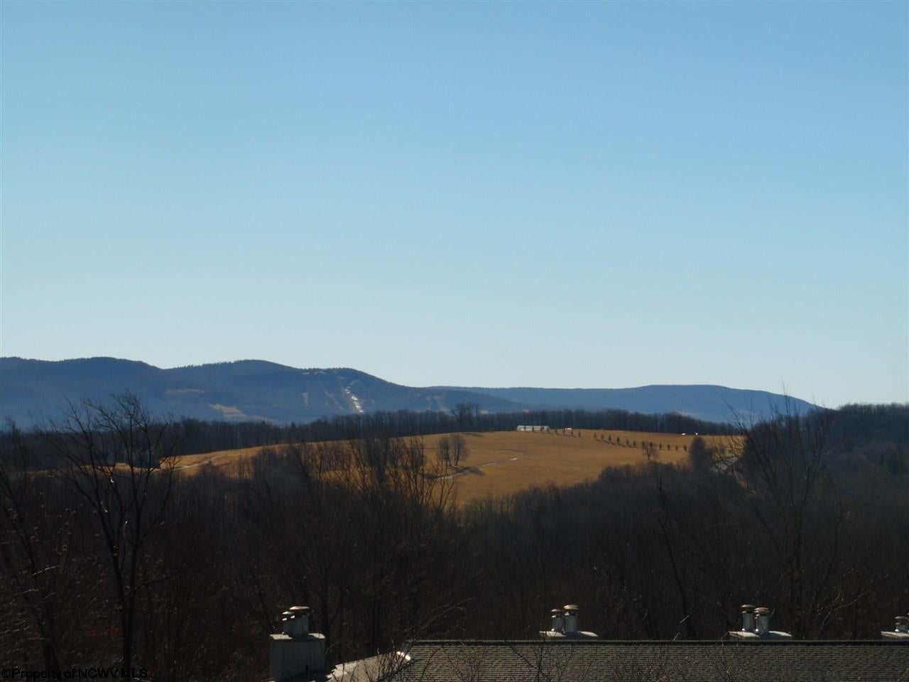 259 Beaver Ridge Davis, WV 26260 - Photo 11 of 12 Gallery Image 11