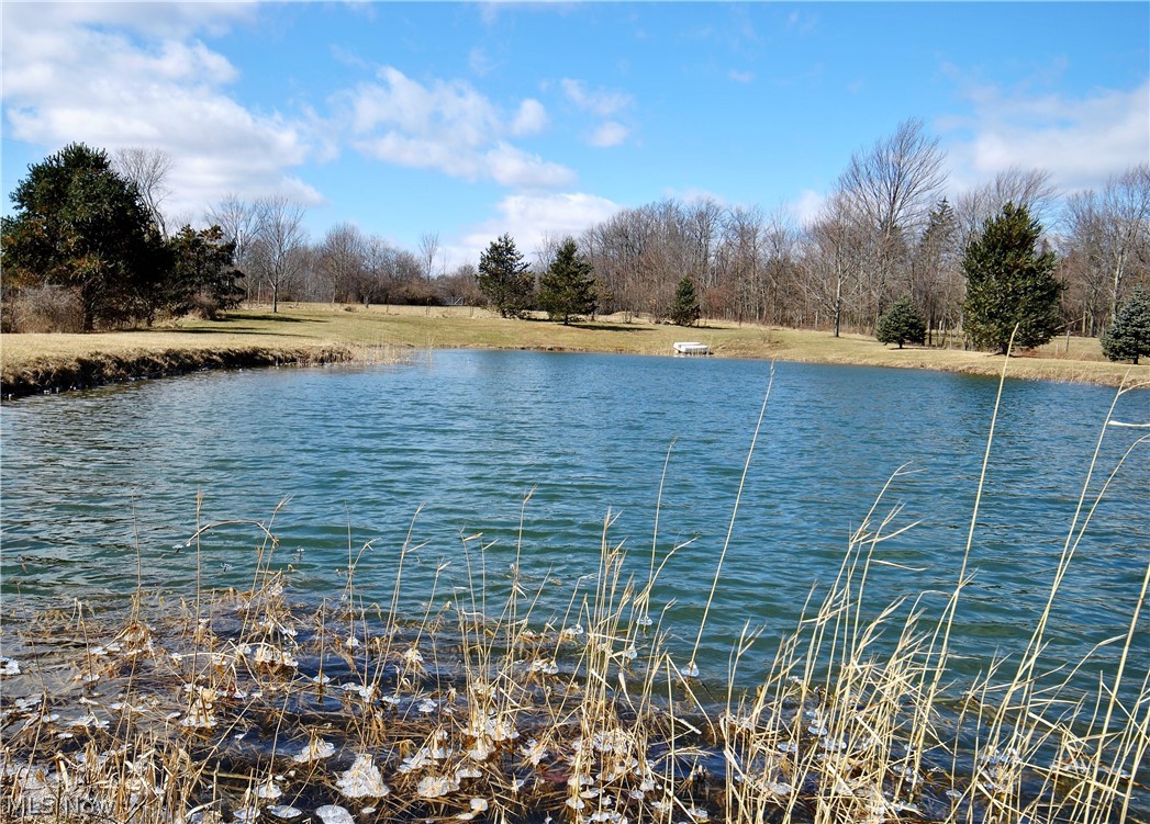 4970 Beach Road Medina, OH 44256 - Photo 6 of 35 Gallery Image 6