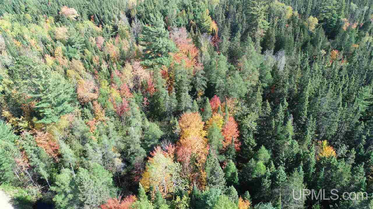 20-acres Tbd River Road Gulliver, MI 49840 - Photo 4 of 8 Gallery Image 4