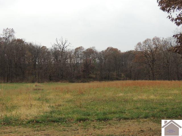 6227 Central Road Mayfield, KY 42066 - Photo 21 of 22 5 ACRES