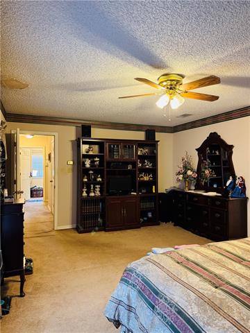 31615 Lower Rome Road Springfield, LA 70462 - Photo 20 of 41 Gallery Image 20