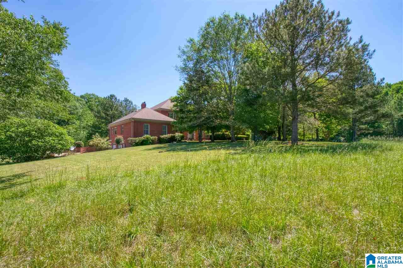 941 Overland Road Montevallo, AL 35115 - Photo 6 of 49