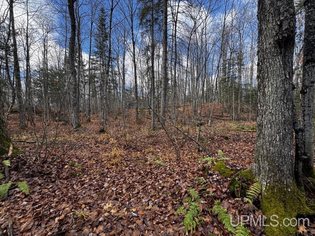 Tbd Tbd Herman Nestoria Road Lanse, MI 49946 - Photo 19 of 25