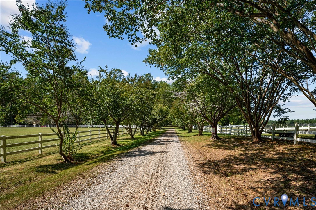 1801 Georgetown Road Heathsville, VA 22473 - Photo 18 of 83 Gravel drive lined with mature trees and a white m