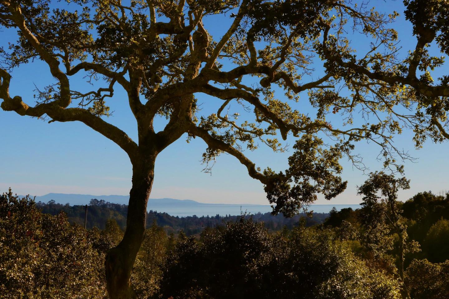 344 Los Robles Road Soquel, CA 95073 - Photo 59 of 76