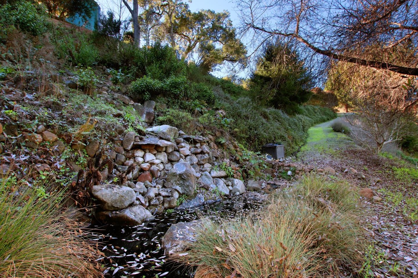 344 Los Robles Road Soquel, CA 95073 - Photo 65 of 76 a view of a forest with a tree