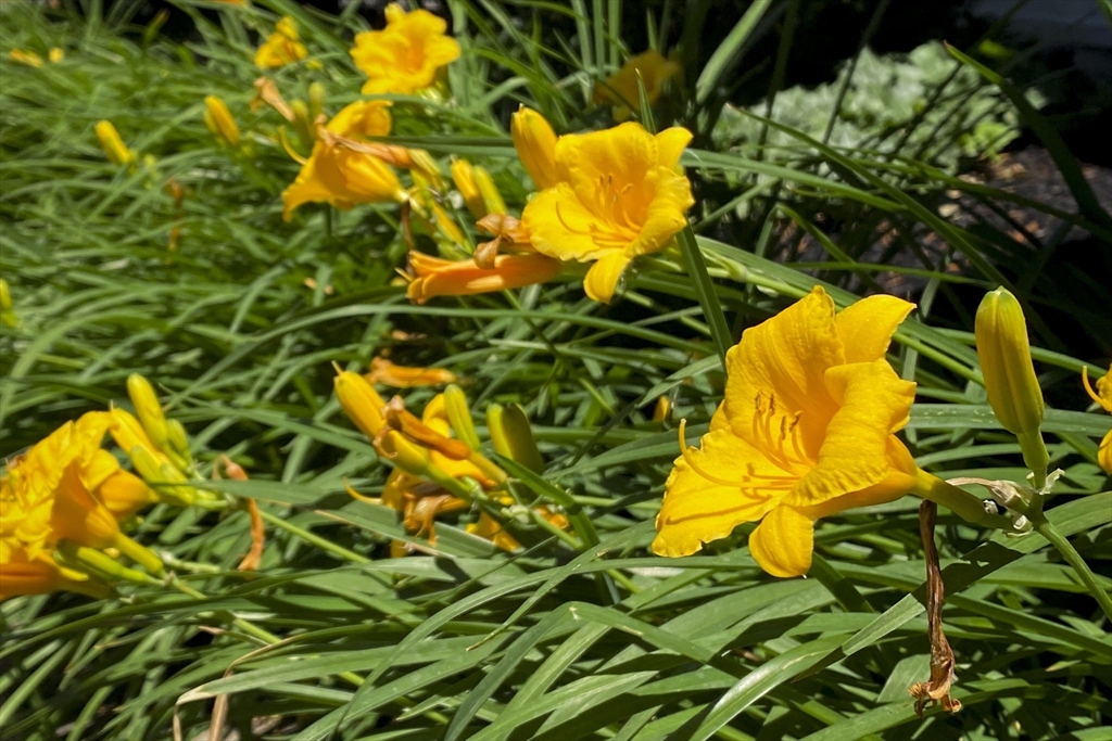 16 Nason Road Swampscott, MA 01907 - Photo 38 of 41