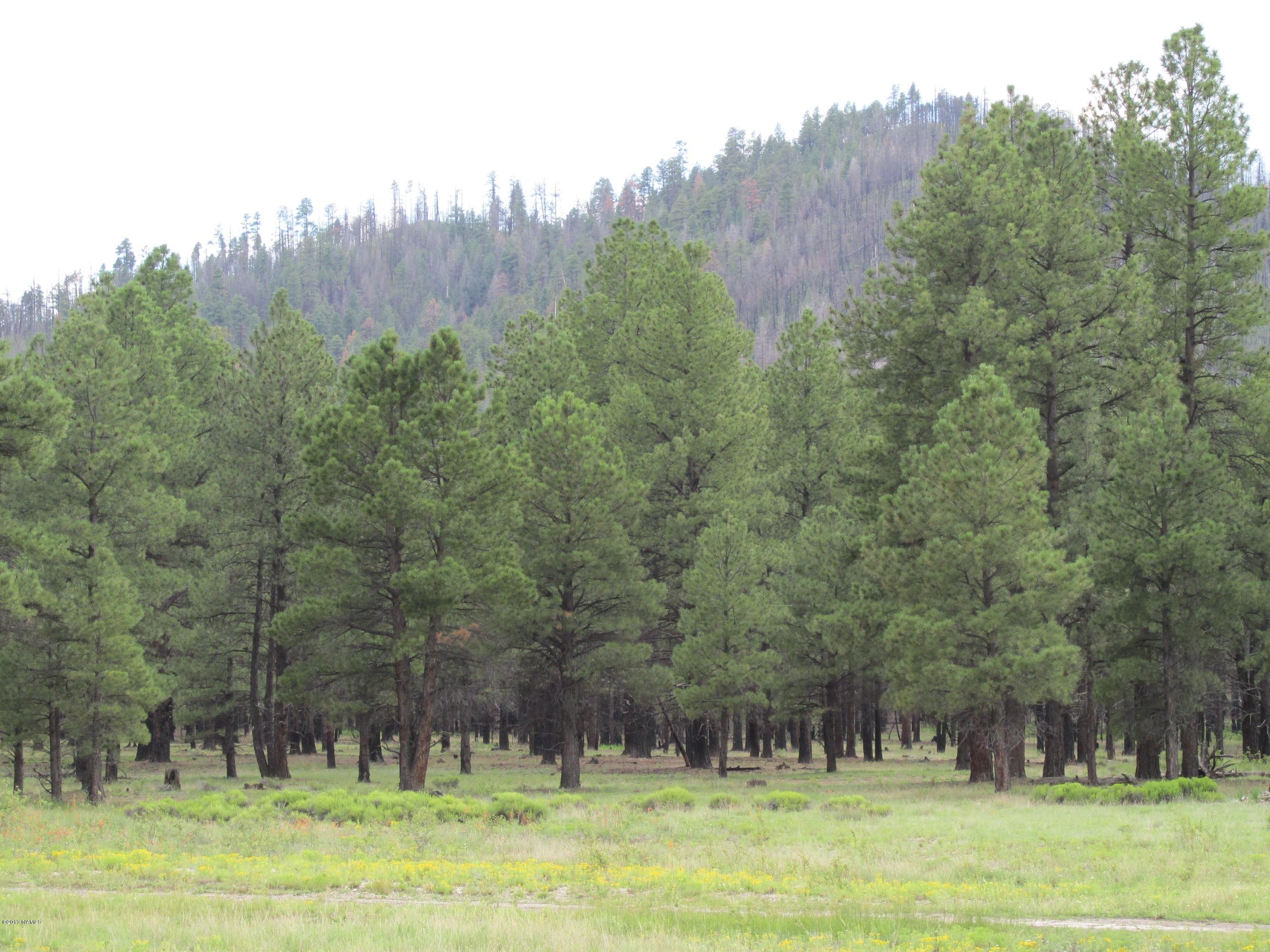 12694 North Spring Valley Road Parks, AZ 86018 - Photo 14 of 23 054
