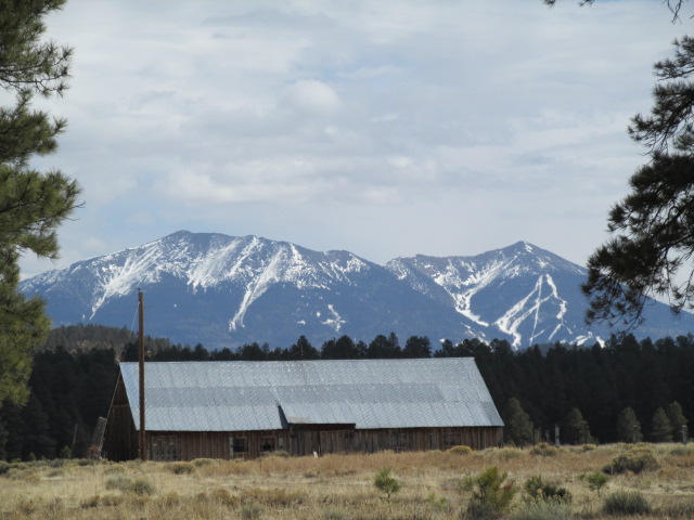 12694 North Spring Valley Road Parks, AZ 86018 - Photo 8 of 23 barn with view!