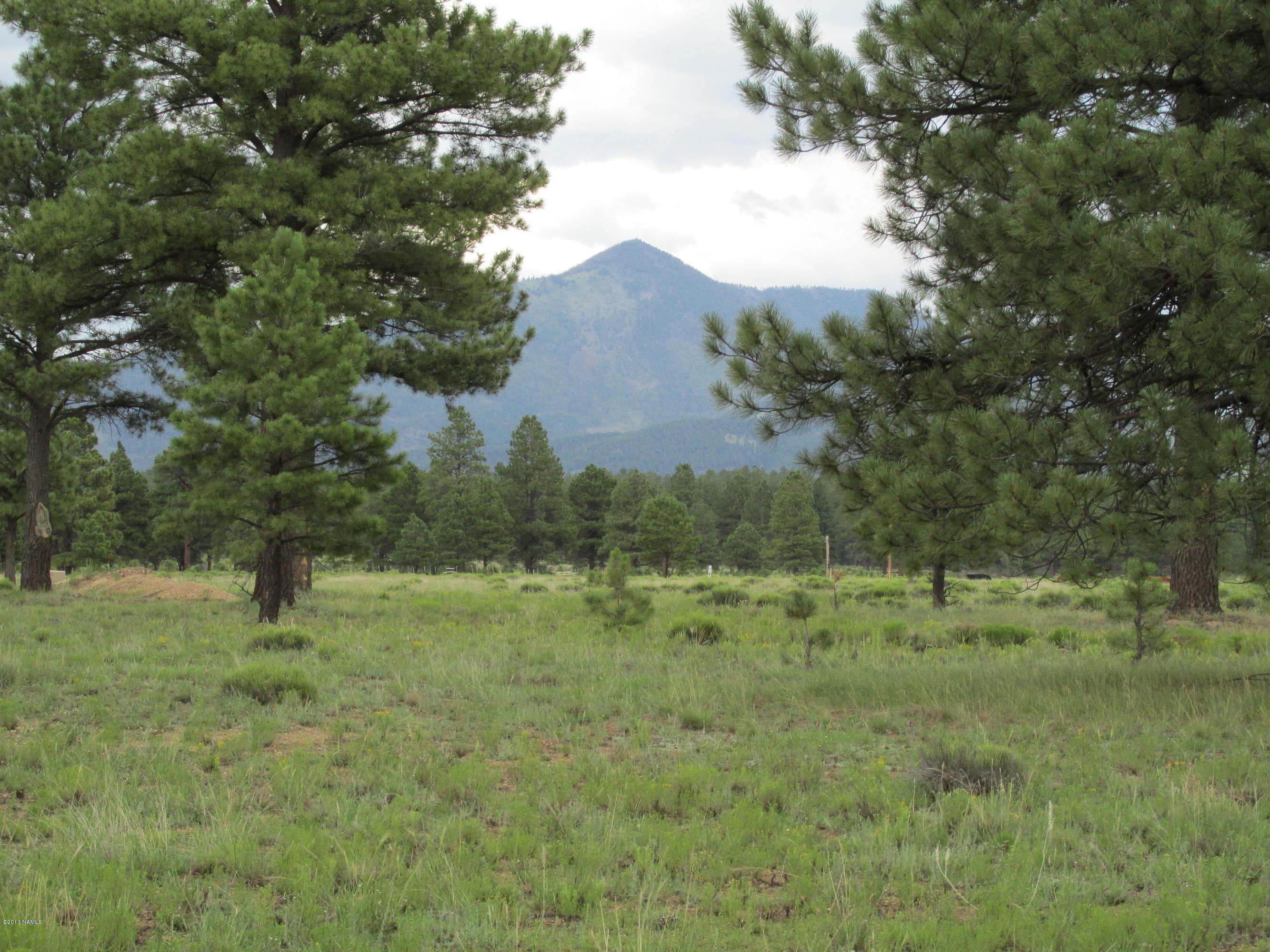 12694 North Spring Valley Road Parks, AZ 86018 - Photo 10 of 23 021