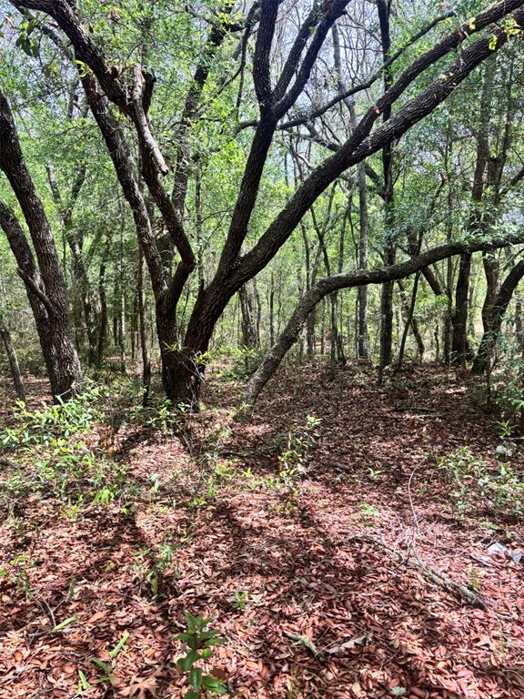 83rd Lane Bronson, FL 32621 - Photo 2 of 5