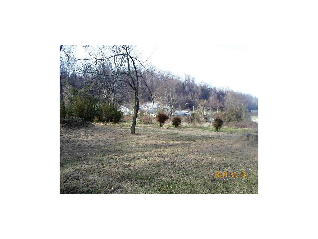 2376 Bob Little Road Elizabethton, TN 37643 - Photo 22 of 24 Back Yard