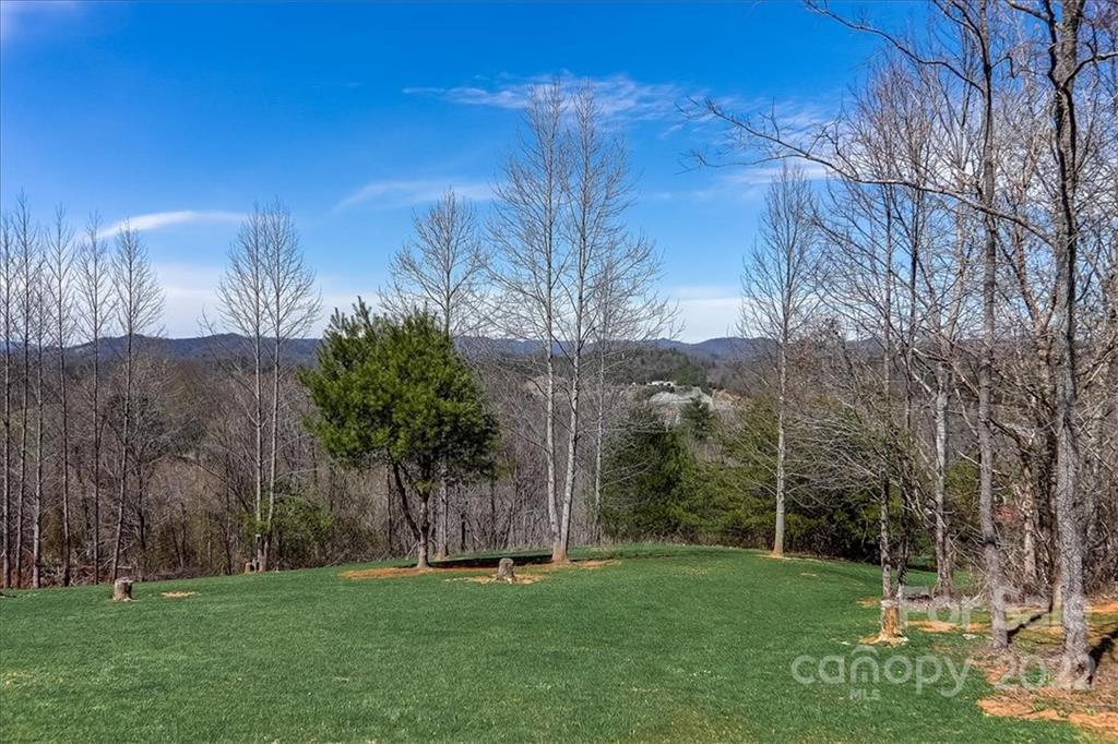 900 Frank Rector Road Marshall, NC 28753 - Photo 19 of 40 Gallery Image 19