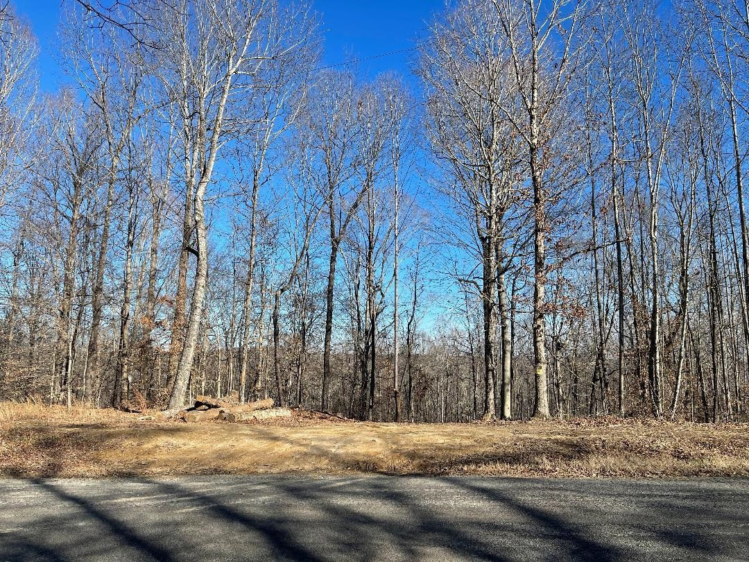 Martin Road Road Reagan, TN 38368 - Photo 3 of 20 a view of a backyard of a house