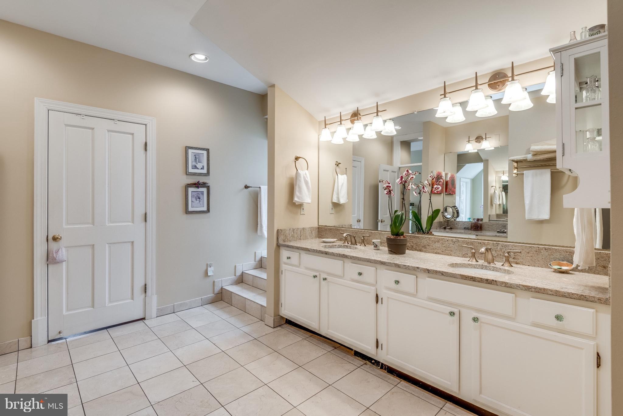 524 Springvale Road Great Falls, VA 22066 - Photo 19 of 30 Bath (Master)