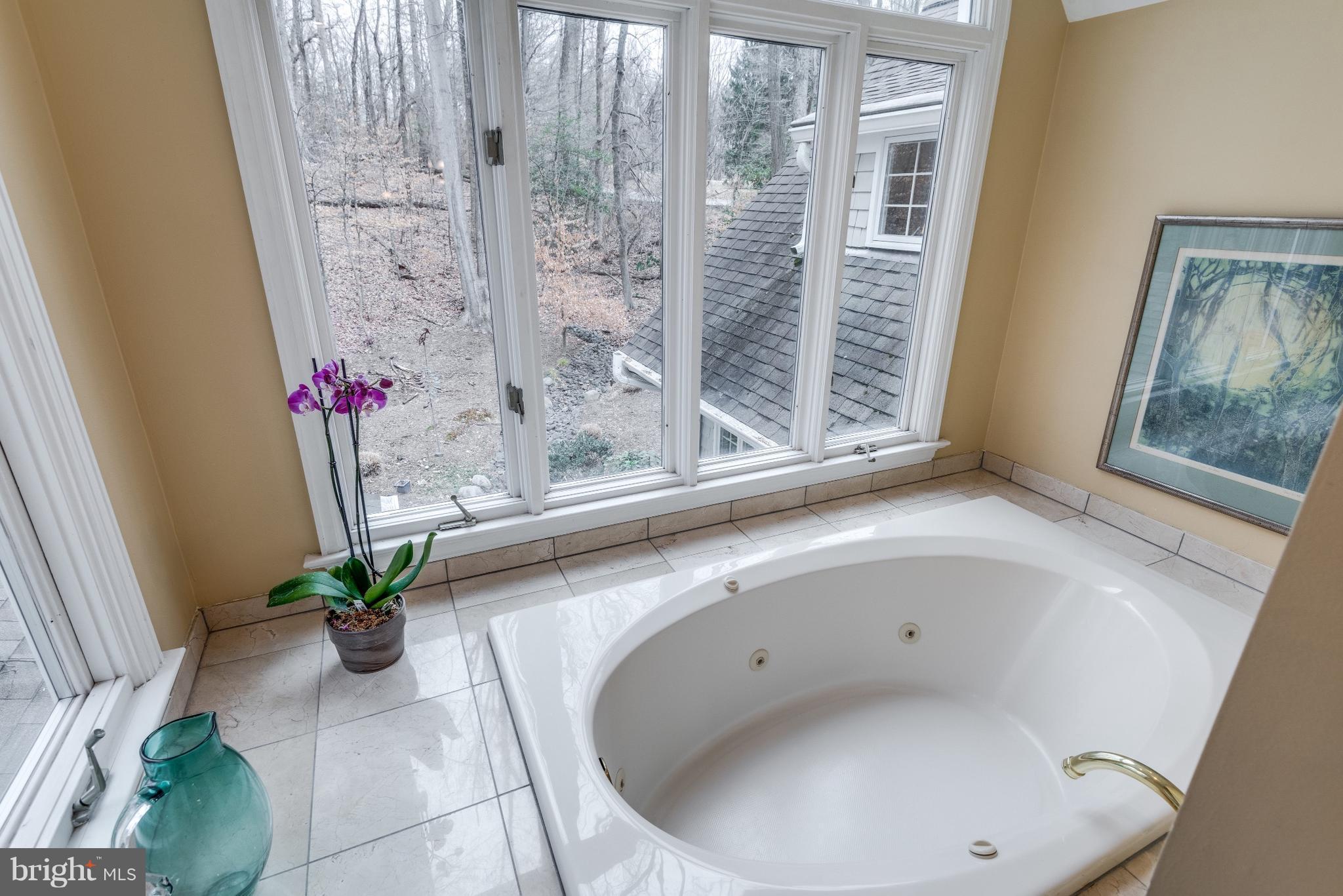 524 Springvale Road Great Falls, VA 22066 - Photo 20 of 30 Bath (Master)