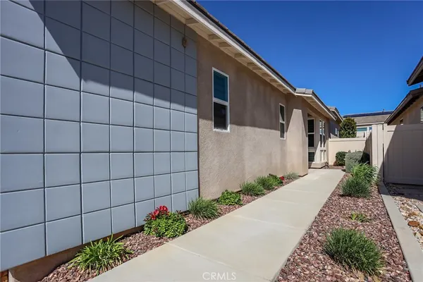 a backyard with potted plants