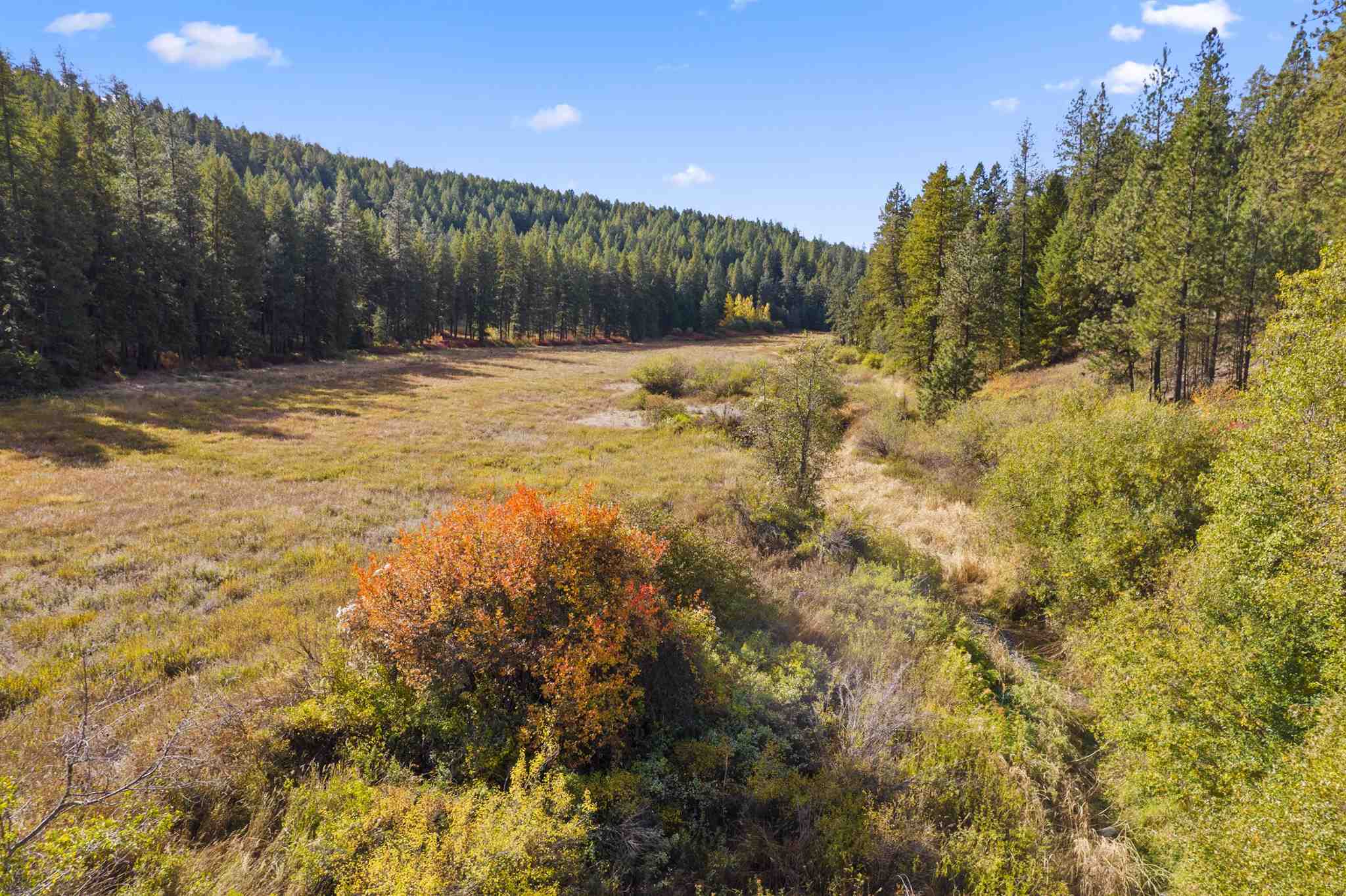 86-xx North Brooks Road Spokane, WA 99224 - Photo 14 of 36