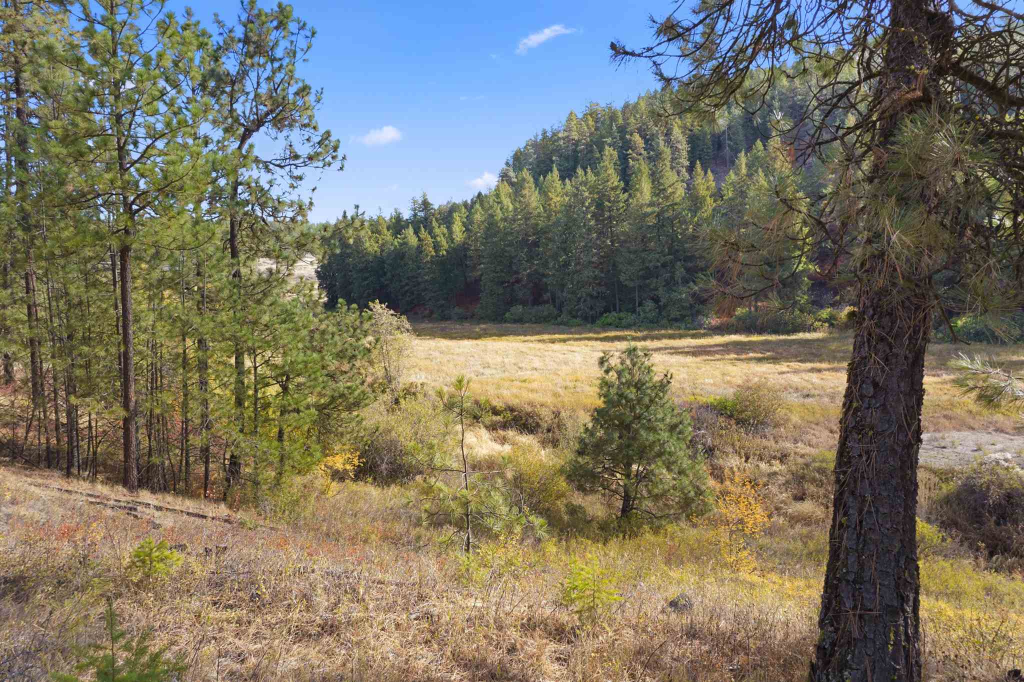 86-xx North Brooks Road Spokane, WA 99224 - Photo 3 of 36