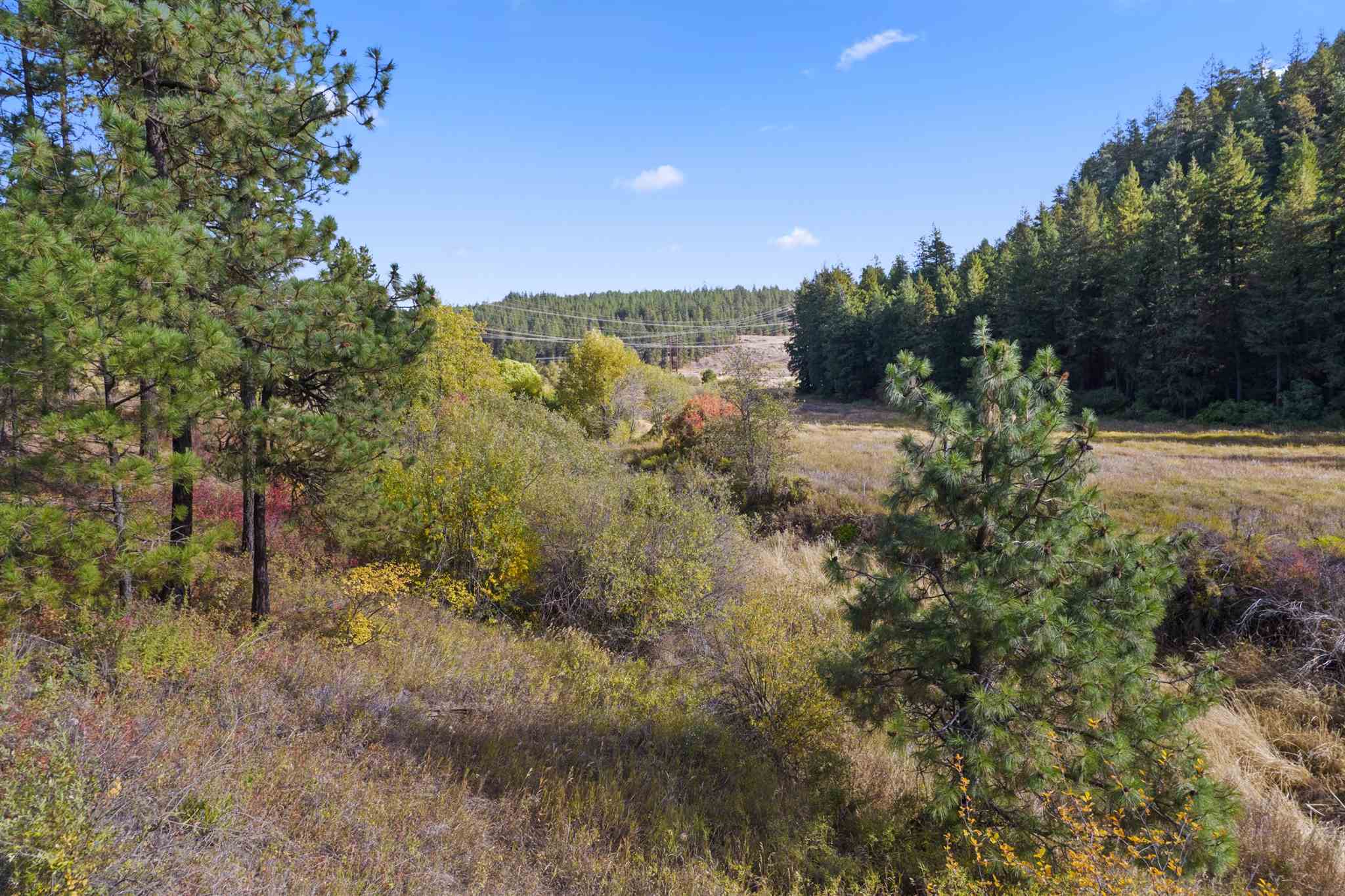 86-xx North Brooks Road Spokane, WA 99224 - Photo 4 of 36