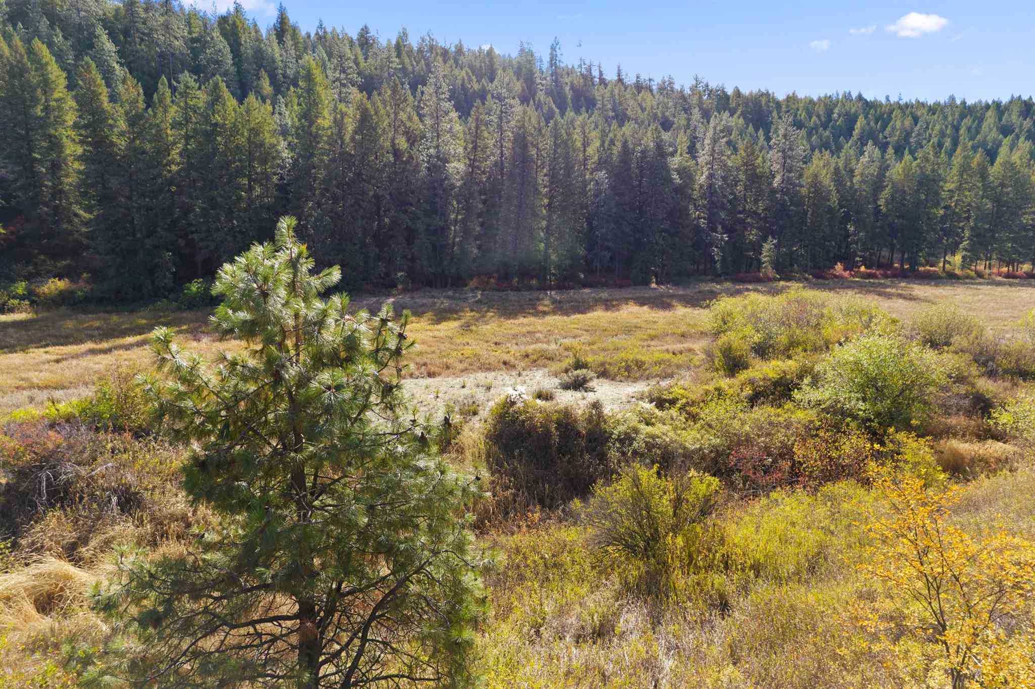 86-xx North Brooks Road Spokane, WA 99224 - Photo 5 of 36