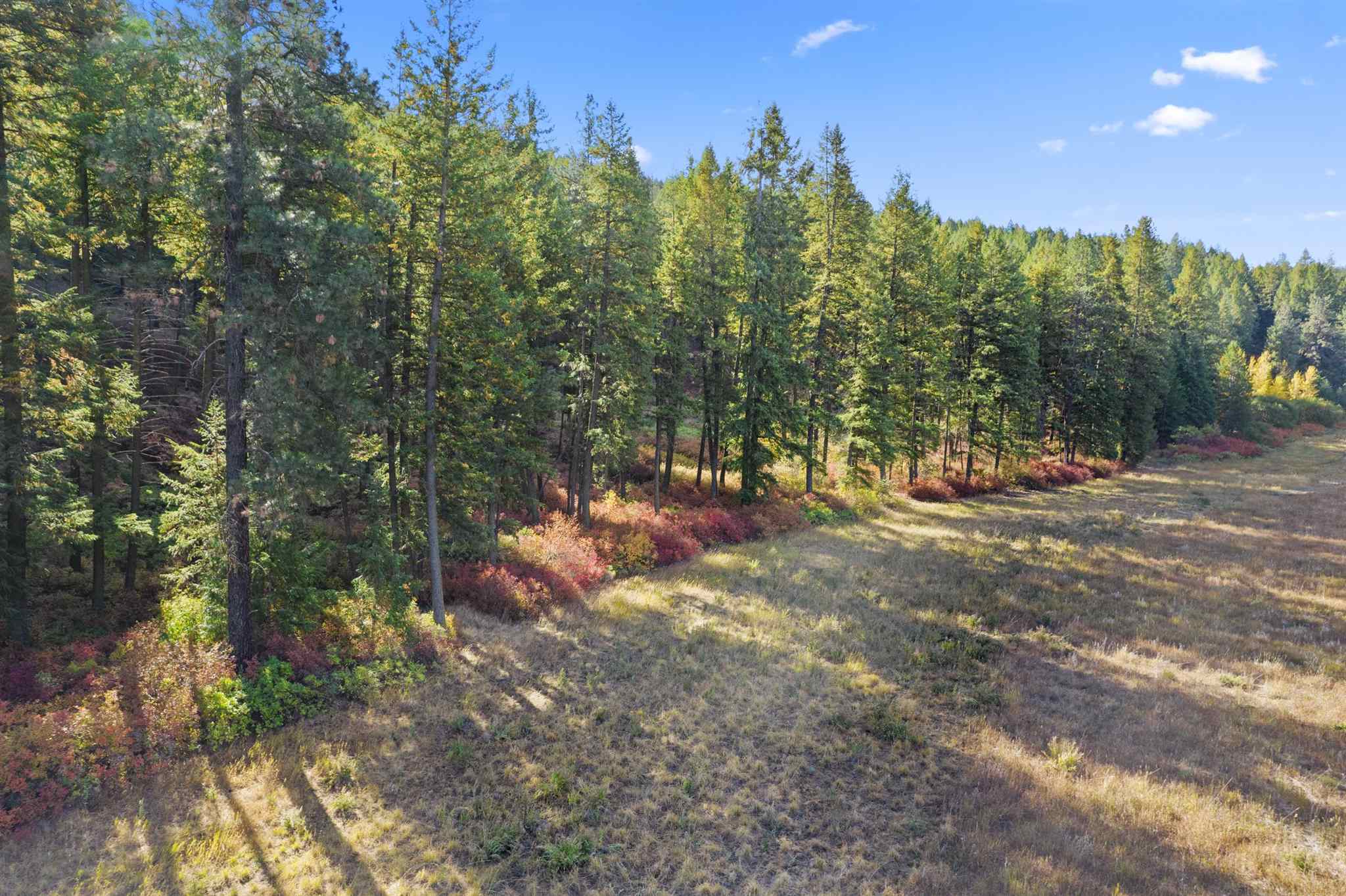 86-xx North Brooks Road Spokane, WA 99224 - Photo 9 of 36
