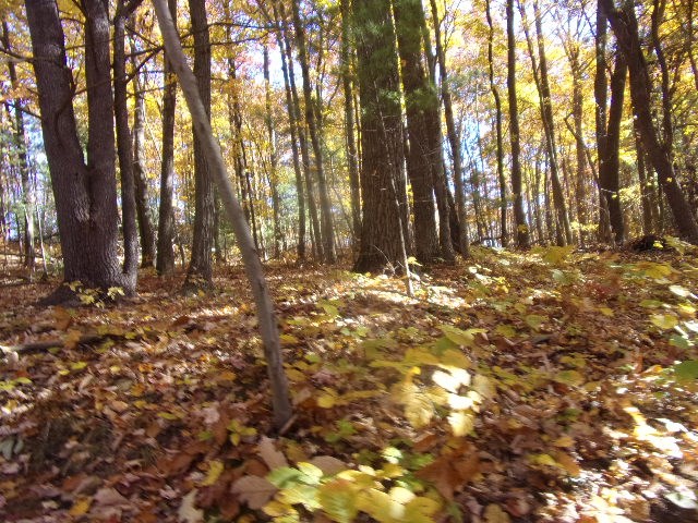3627 B C L School Road Strattanville, PA 16258 - Photo 4 of 10
