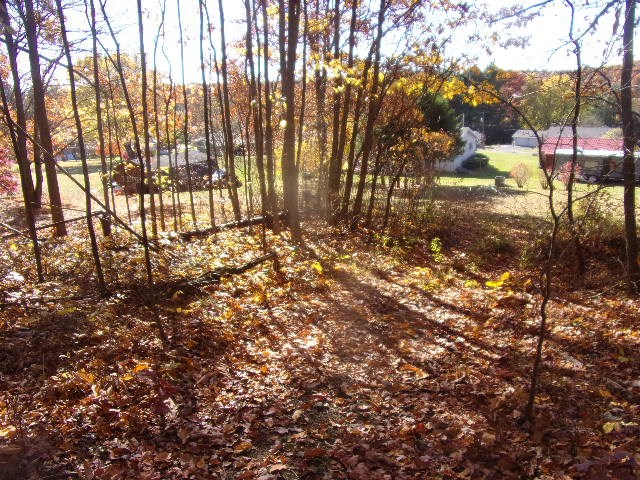 3627 B C L School Road Strattanville, PA 16258 - Photo 9 of 10