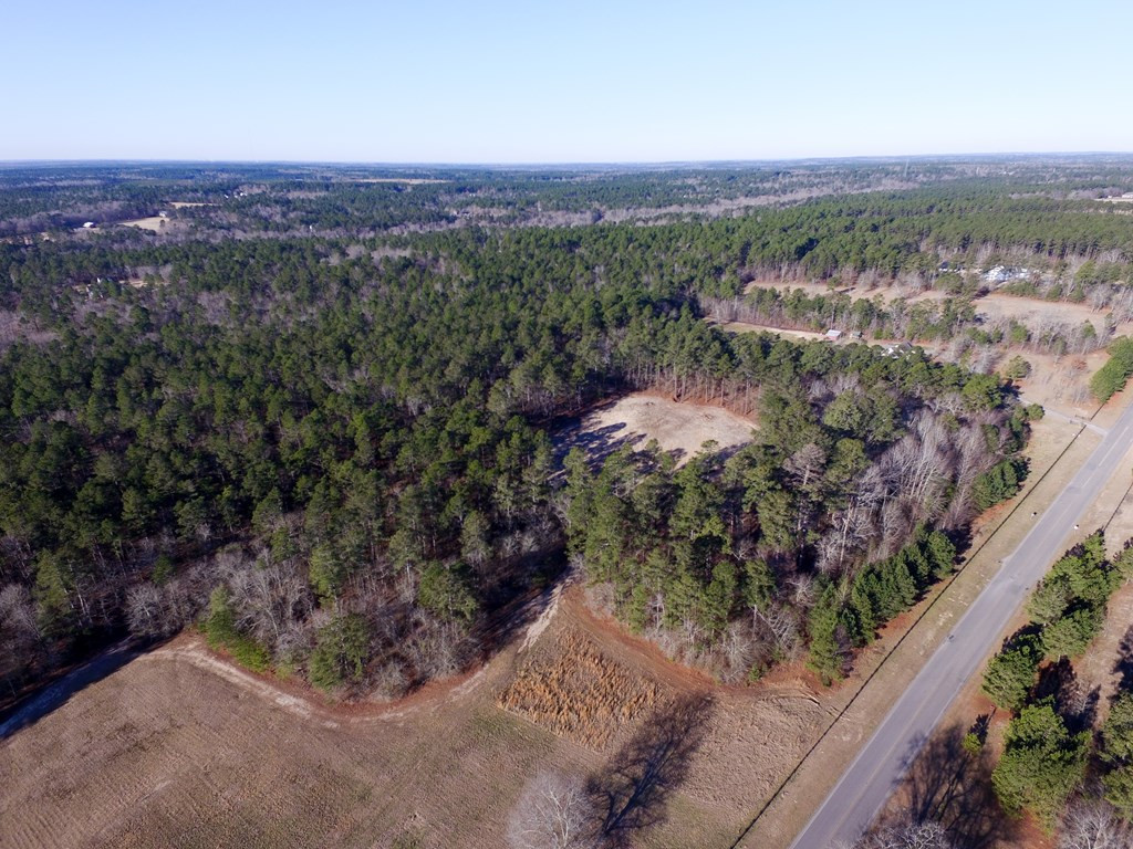 Lot 25-26 Anderson Pond Road Johnston, SC 29832 - Photo 4 of 11