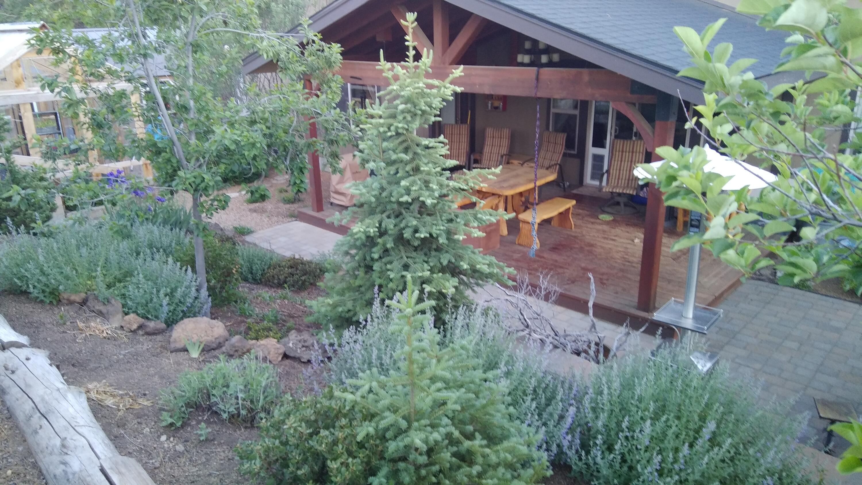 19088 Pumice Butte Road Bend, OR 97702 - Photo 34 of 39 Back yard in Spring seen from NE
