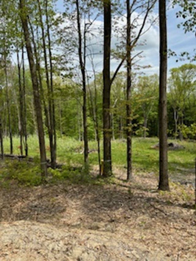 15-9 Raccoon Hill Road Salisbury, NH 03268 - Photo 5 of 9