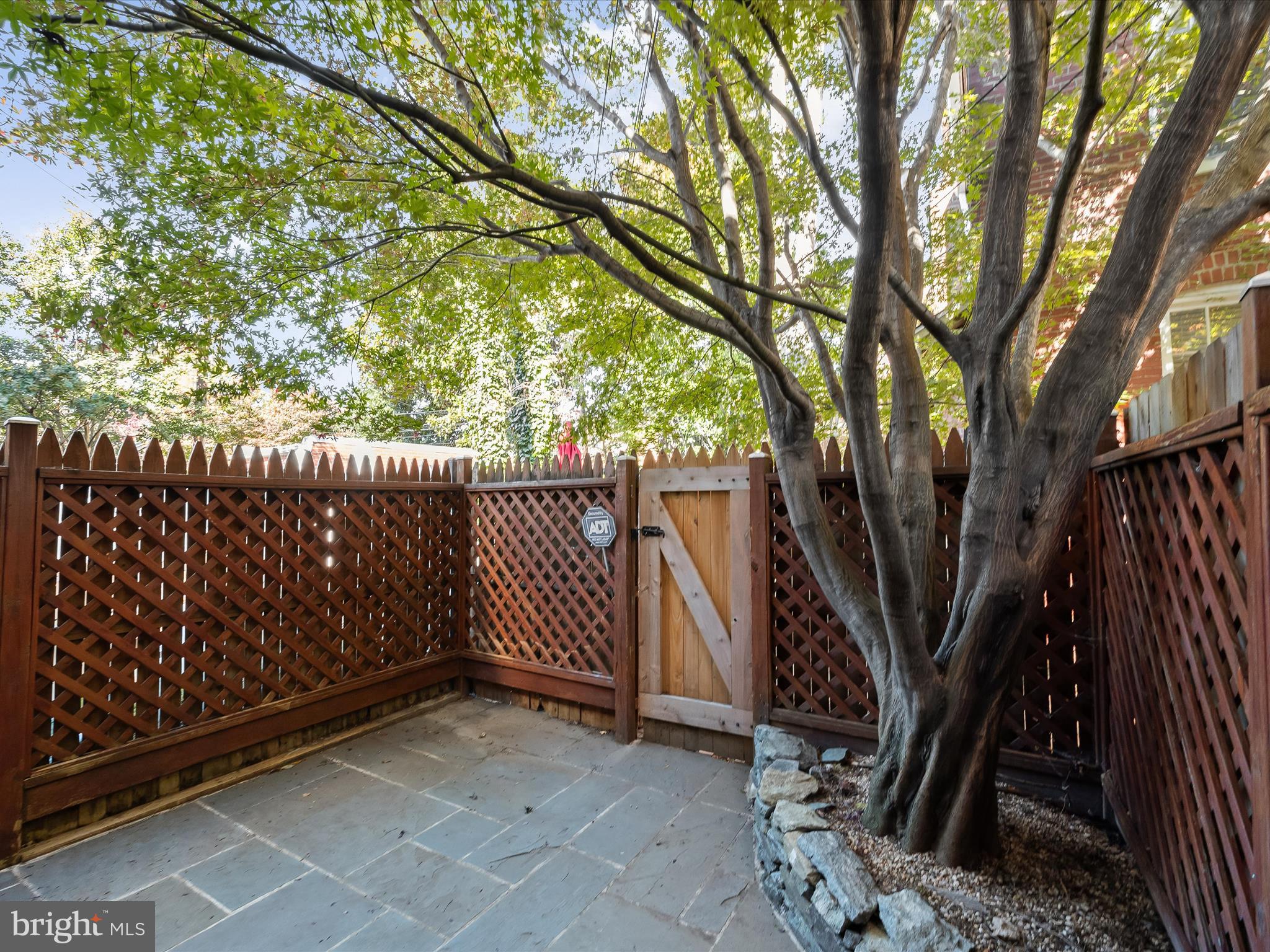 3407 Q Street Northwest Washington, DC 20007 - Photo 26 of 27 a view of backyard with wooden fence and large trees