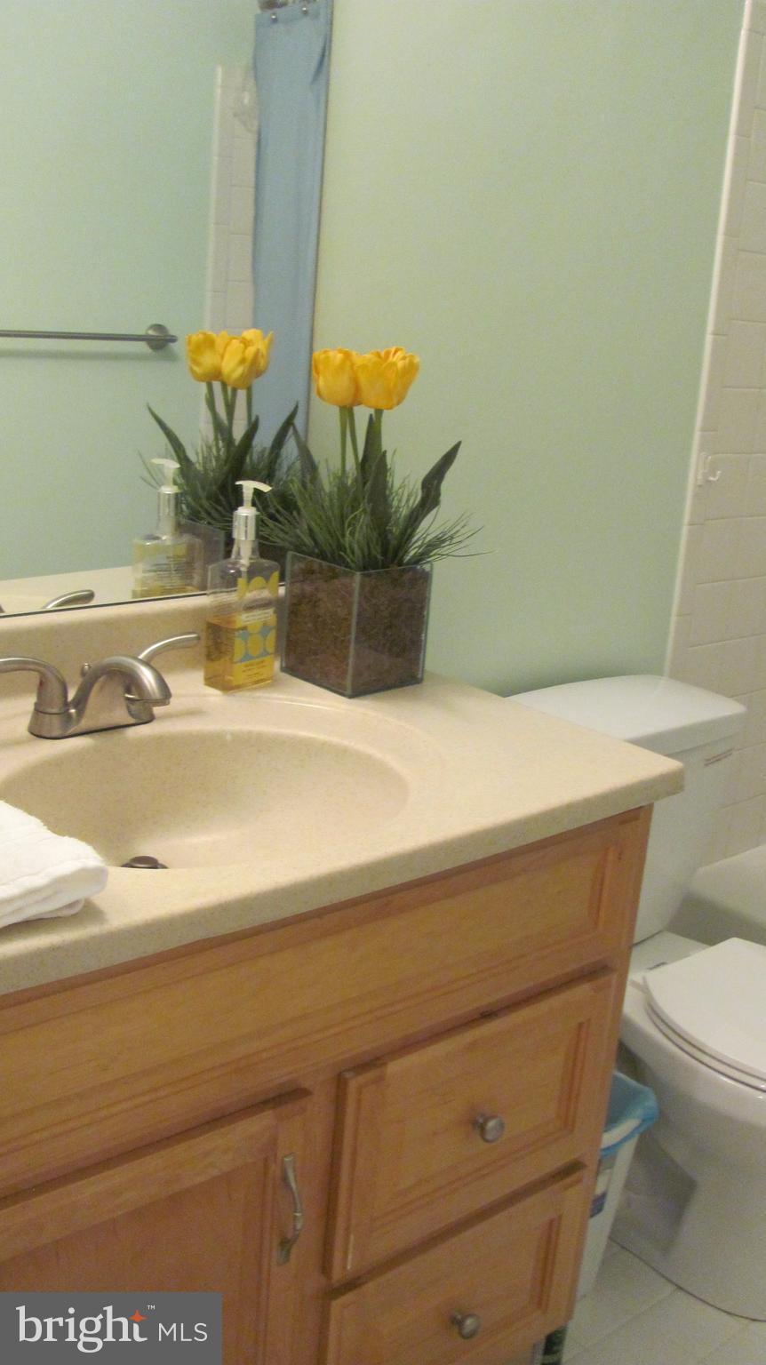 12705 Turquoise Terrace Silver Spring, MD 20904 - Photo 17 of 24 a bathroom with a sink and a mirror